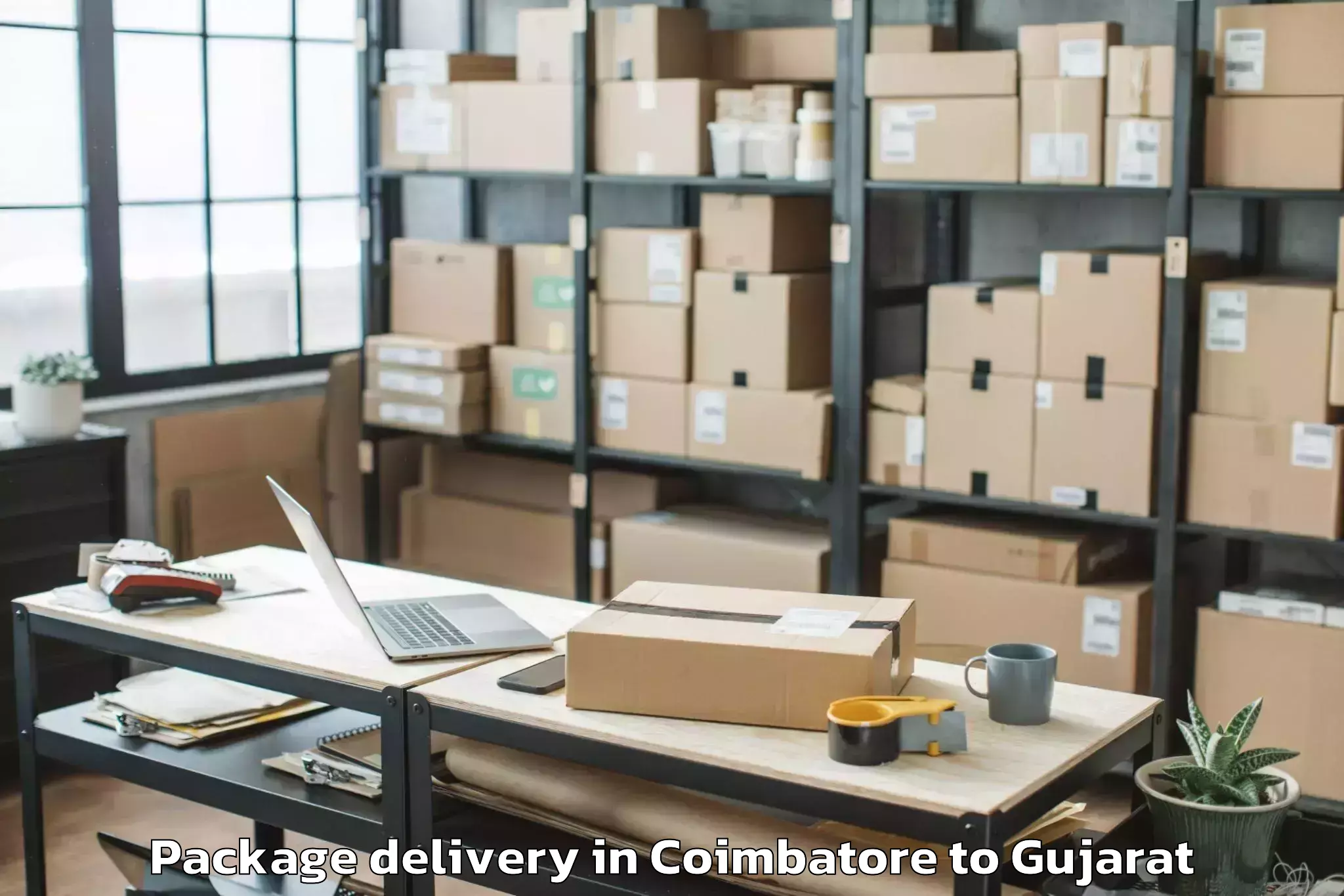 Hassle-Free Coimbatore to Savli Package Delivery